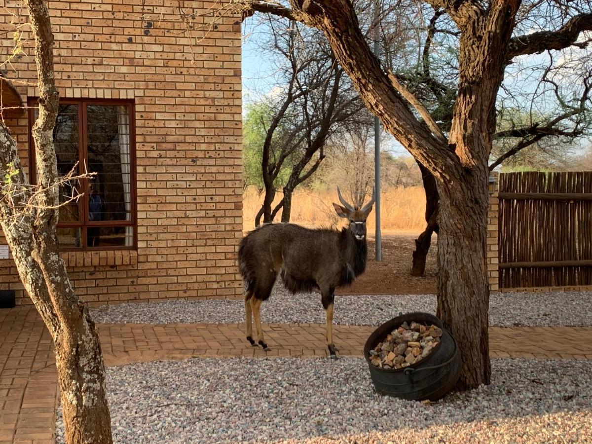 Makhato Bush Lodge 111 Bela-Bela Dış mekan fotoğraf